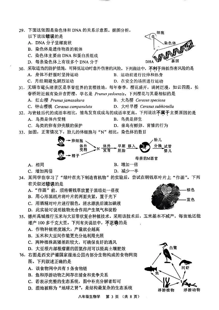 2025年江苏省无锡市会考生物试题 原卷第3页