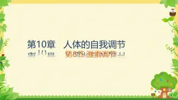 初中生物北師大版（2024）七年級(jí)下冊(cè)4.10.3 激素調(diào)節(jié) 課件