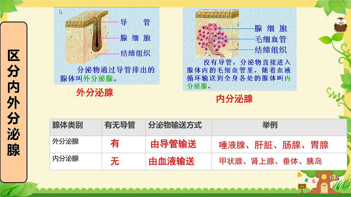 初中生物北师大版(2024)七年级下册4.10.3 激素调节 课件第3页
