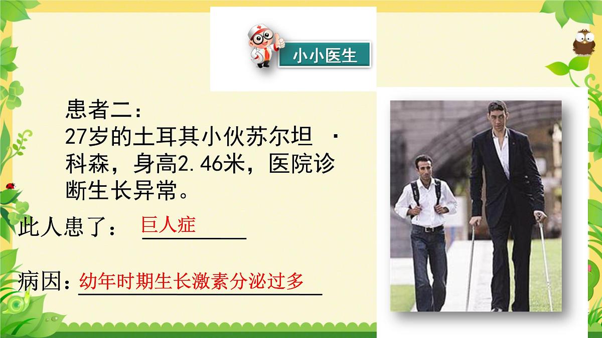 初中生物北师大版(2024)七年级下册4.10.3 激素调节 课件第8页