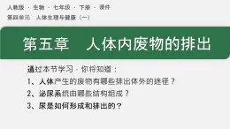 初中生物人教版（2024）七年級下冊4.5 人體內(nèi)廢物的排出 課件