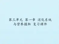 初中生物冀少版（2024）七年級(jí)下冊(cè)3.1 消化系統(tǒng)與營(yíng)養(yǎng)攝取 復(fù)習(xí)課件