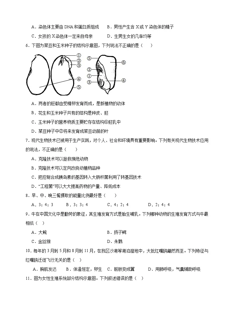 卷03-备战2025年中考生物全真模拟押题卷(南通卷)第2页