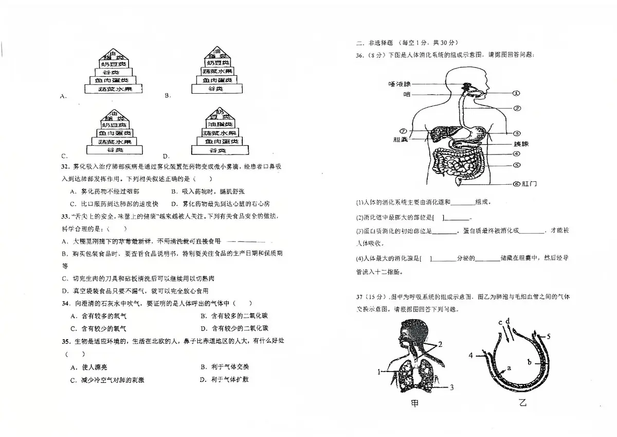 海南省万宁市第二中学2024-2025学年七年级下学期第二次月考生物试题第3页