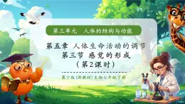 【核心素養(yǎng)優(yōu)質(zhì)課】冀少版生物七年級(jí)下冊(cè) 3.5.3.2 感覺的形成（聽覺）（課件+同步教案+導(dǎo)學(xué)案+分層作業(yè)）
