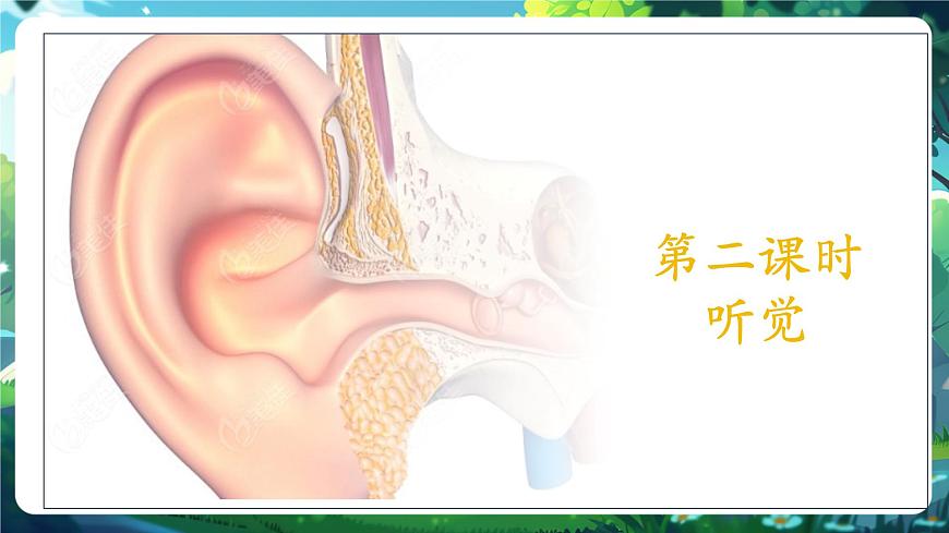【核心素養(yǎng)】3.5.3.2感覺的形成（聽覺） 課件第3頁