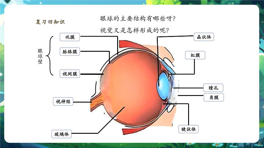 【核心素養(yǎng)】3.5.3.2感覺的形成（聽覺） 課件第4頁