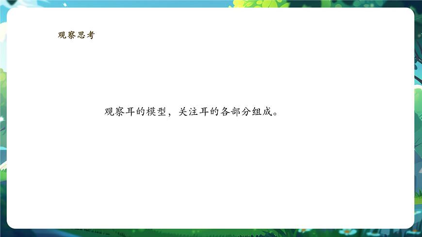 【核心素養(yǎng)】3.5.3.2感覺的形成（聽覺） 課件第6頁