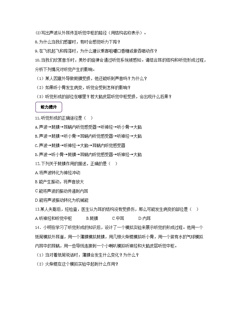 【核心素養(yǎng)】3.5.3.2感覺的形成（聽覺） 分層作業(yè)（含答案）第2頁