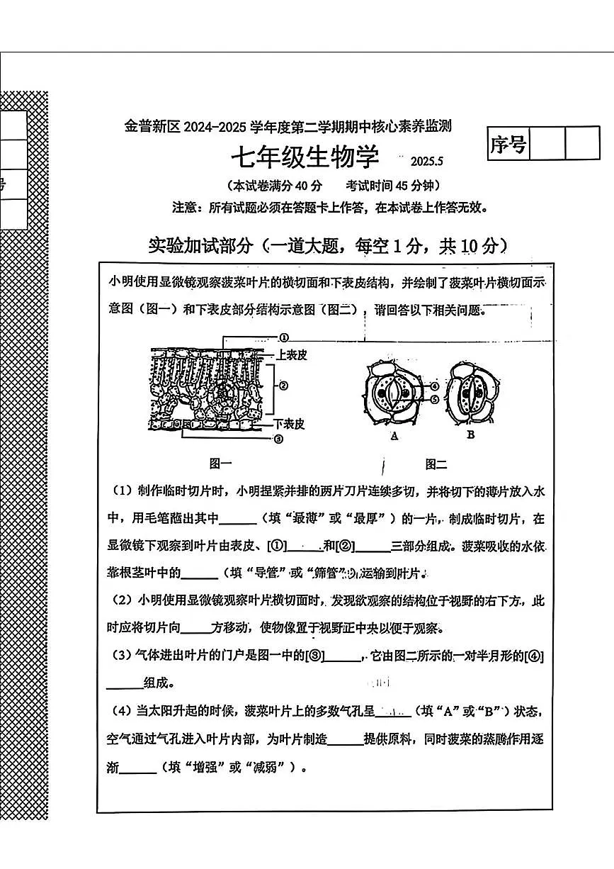 辽宁省大连市金普新区2024-2025学年七年级下学期期中考试生物试题第1页