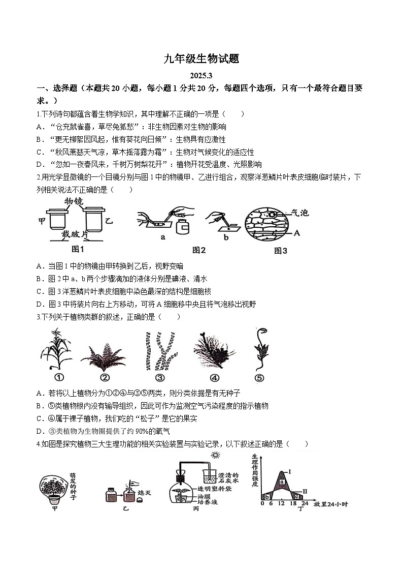 山东省菏泽市菏泽经济技术开发区2024-2025学年九年级下学期3月月考生物试题第1页