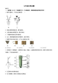 山东省菏泽市菏泽经济技术开发区2024-2025学年七年级生物下学期3月月考生物试题