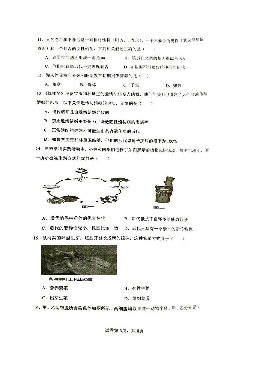 山东省枣庄市滕州市龙泉实验学校2024-2025学年七年级下学期6月月考生物试题第3页