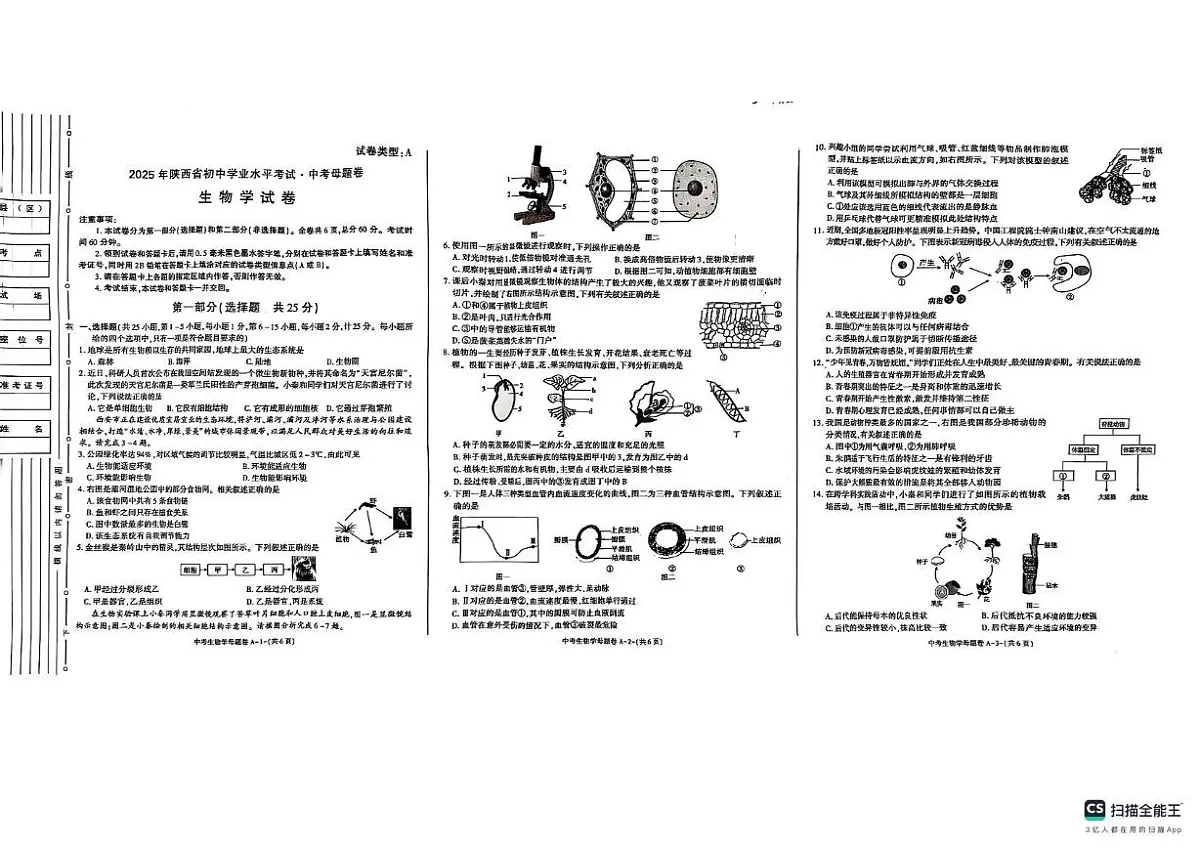 陕西省延安市实验中学2024-2025学年八年级下学期5月月考生物试题第1页