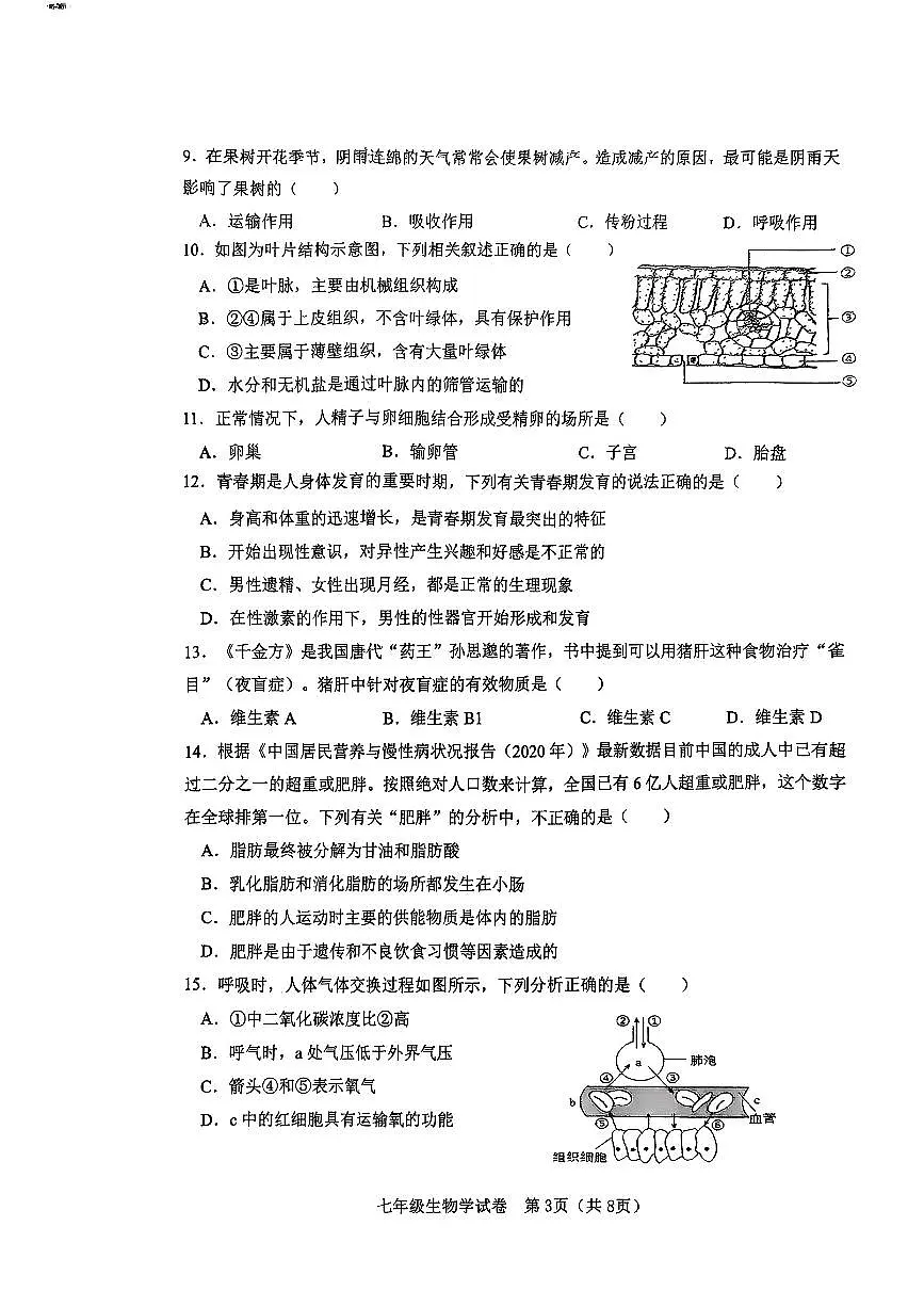 天津市河东区2024-2025学年七年级下生物期末试卷第3页