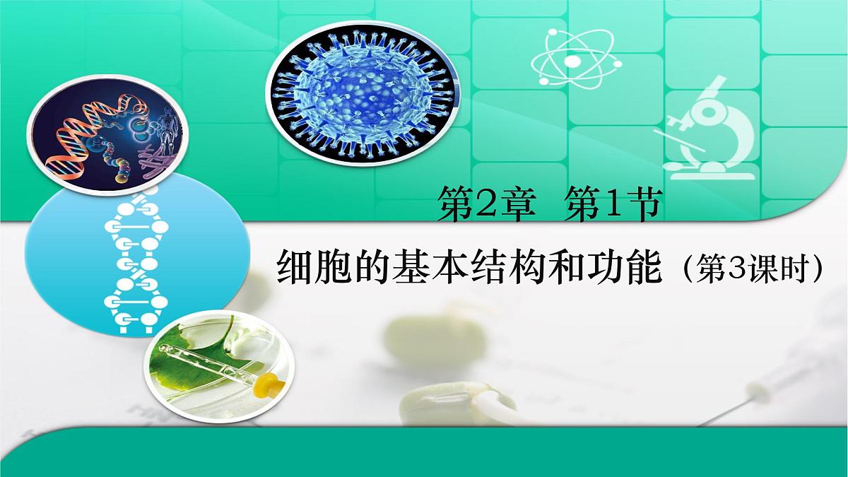 北师大版生物(2024)七年级上册 2.1 细胞的基本结构和功能(第3课时)课件第1页