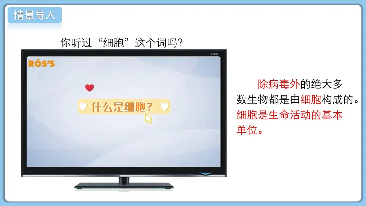 北师大版生物(2024)七年级上册 2.2.1 细胞的基本结构和功能(第1课时) 课件第3页