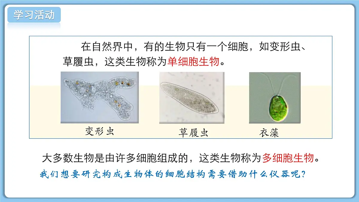 北师大版生物(2024)七年级上册 2.2.1 细胞的基本结构和功能(第1课时) 课件第5页
