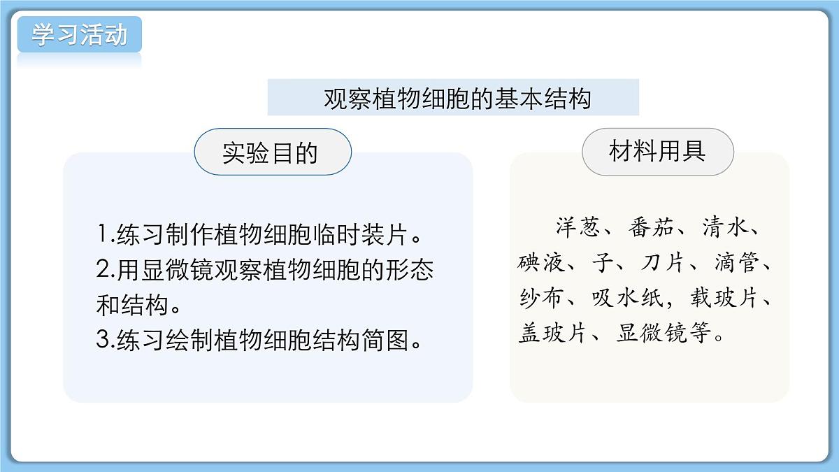 北师大版生物(2024)七年级上册 2.2.1细胞的基本结构和功能(第2课时) 课件第5页