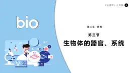 北師大版生物（2024）七年級上冊 2.3.3 生物體的器官、系統(tǒng) 課件