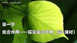 北師大版生物（2024）七年級上冊 3.4.1 光合作用  第1課時 探索光合作用 課件