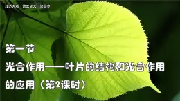 北師大版生物（2024）七年級上冊 3.4.1 光合作用  第2課時 葉的結(jié)構(gòu)和光合作用的應(yīng)用 課件