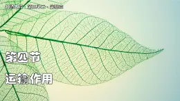 北師大版生物（2024）七年級上冊 3.4.4  運輸作用 課件