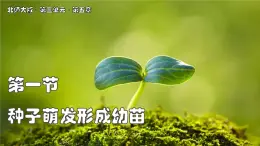 北師大版生物（2024）七年級上冊 3.5.1 種子萌發(fā)形成幼苗 課件