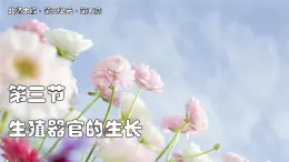 北師大版生物（2024）七年級上冊 3.5.3 生殖器官的生長 課件