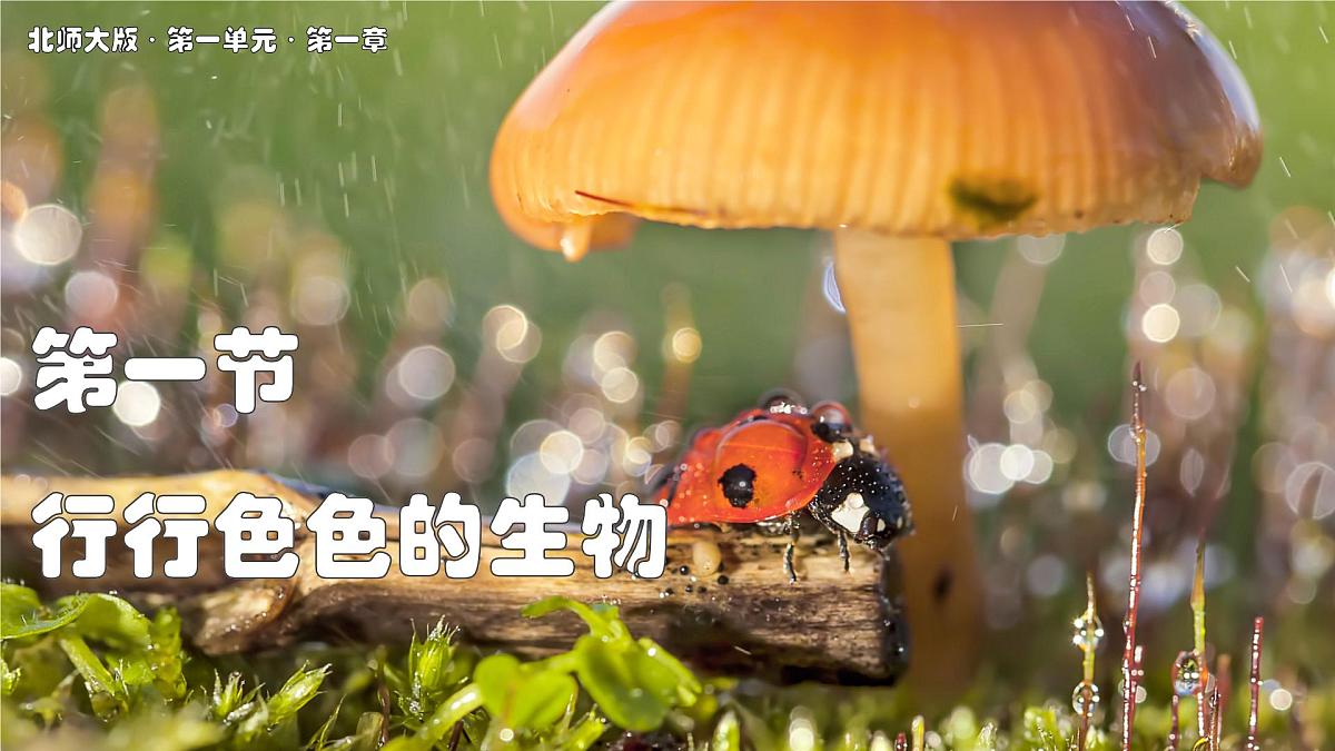 北师大版生物(2024)七年级上册 1.1.1 行行色色的生物 课件第1页