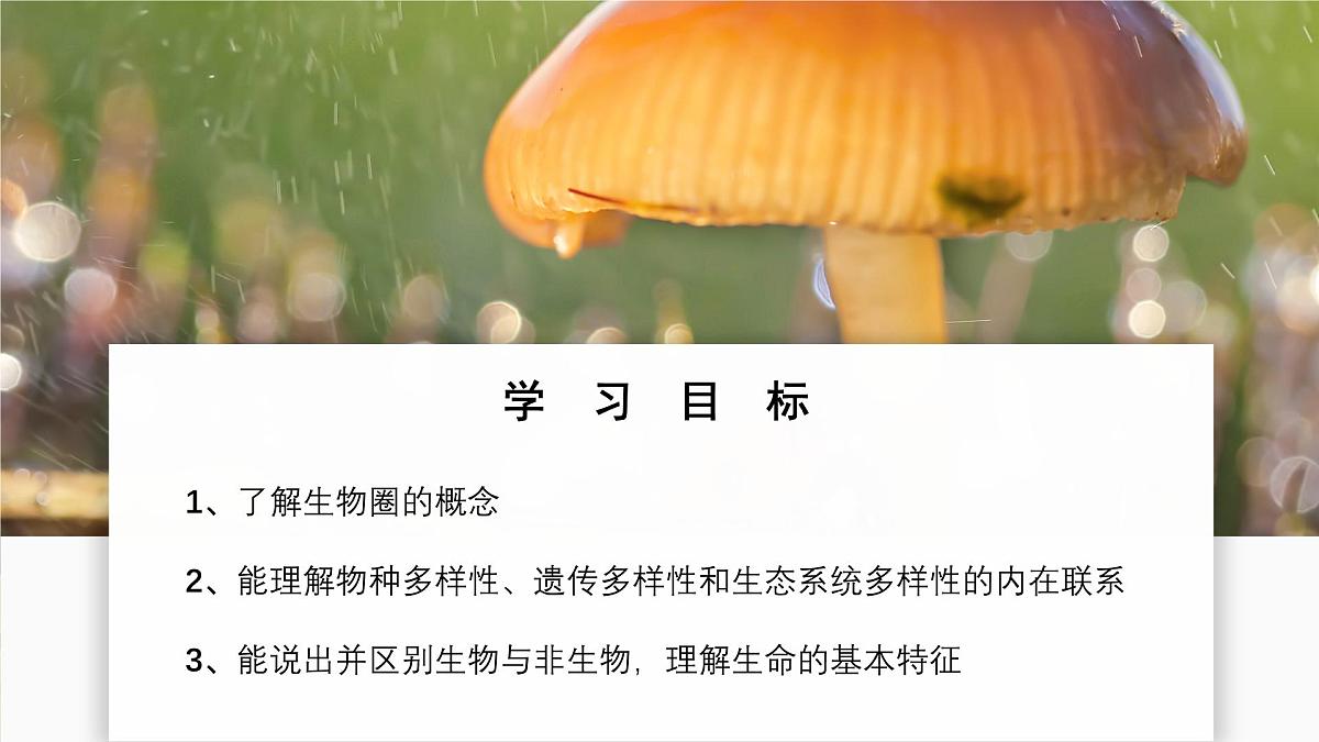 北师大版生物(2024)七年级上册 1.1.1 行行色色的生物 课件第2页