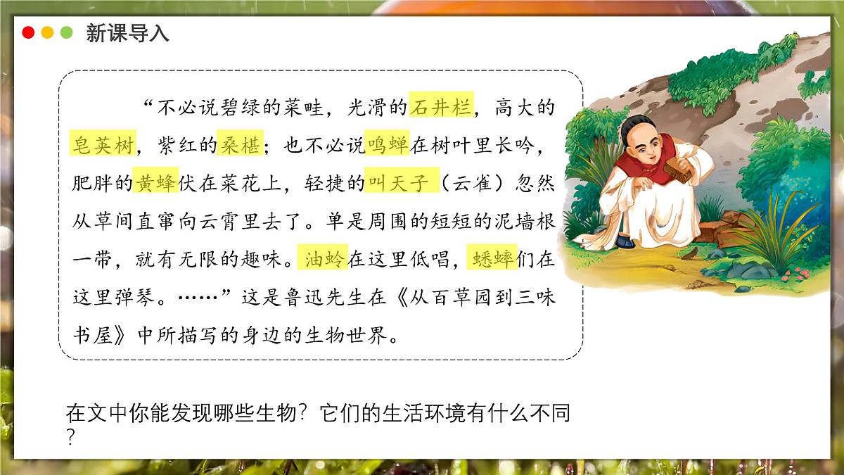 北师大版生物(2024)七年级上册 1.1.1 行行色色的生物 课件第3页