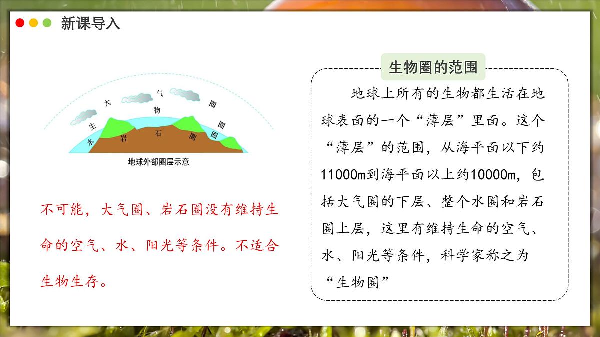 北师大版生物(2024)七年级上册 1.1.1 行行色色的生物 课件第5页