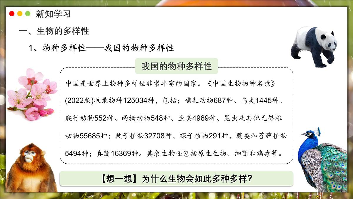 北师大版生物(2024)七年级上册 1.1.1 行行色色的生物 课件第7页