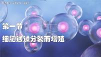 北师大版(2024)七年级上册(2024)细胞通过分裂而增值评优课课件ppt