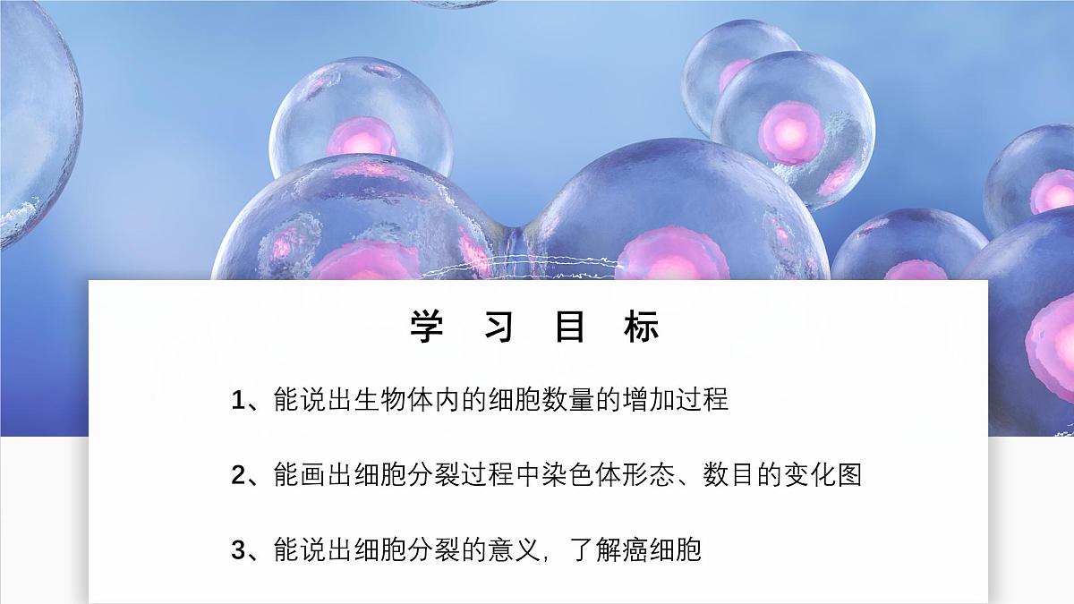 北师大版生物(2024)七年级上册 2.3.1 细胞通过分裂而增殖 课件第2页