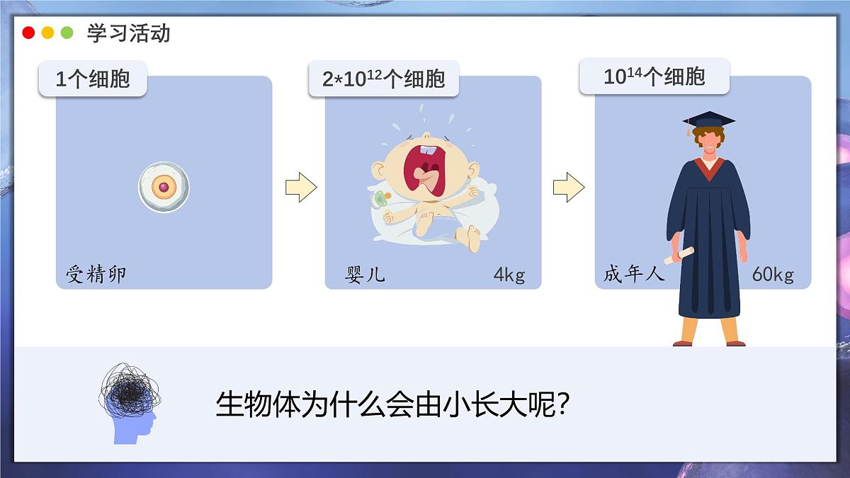 北师大版生物(2024)七年级上册 2.3.1 细胞通过分裂而增殖 课件第4页