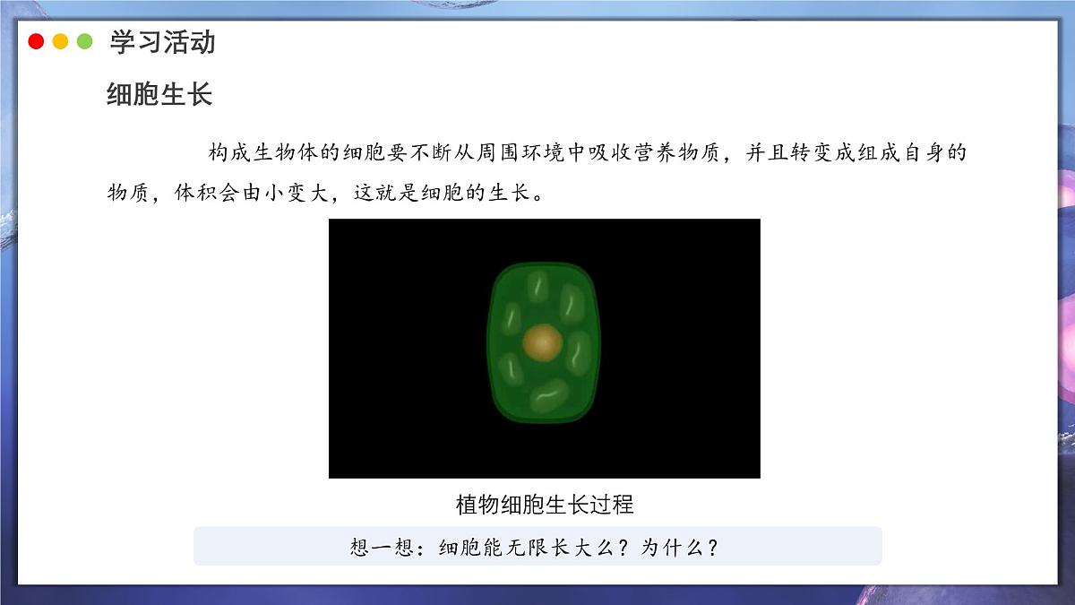 北师大版生物(2024)七年级上册 2.3.1 细胞通过分裂而增殖 课件第7页