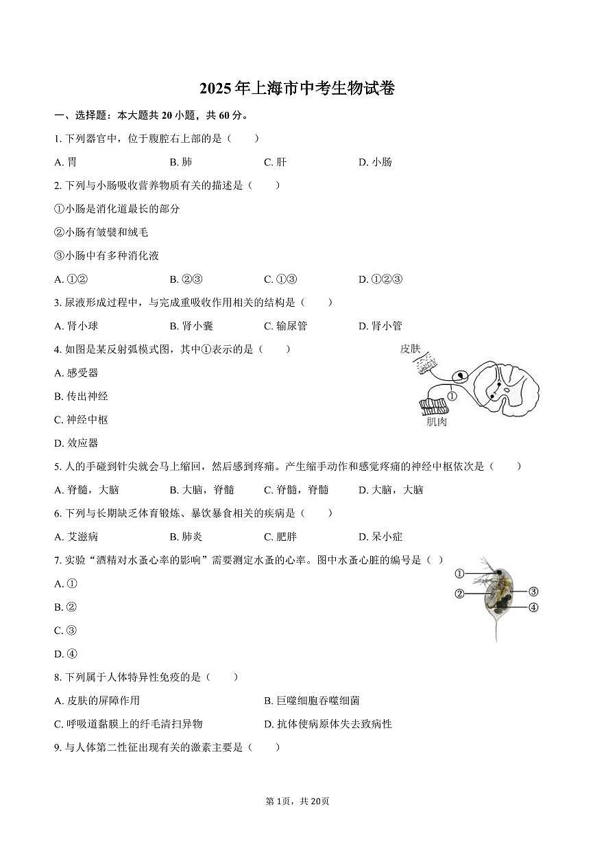 2025年上海市中考生物试卷含标答第1页