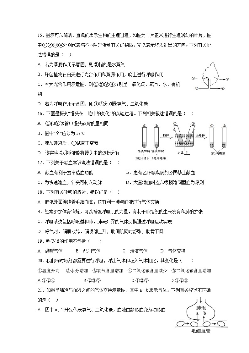 四川省荣县中学校2024-2025学年七年级下学期6月月考生物试题第3页