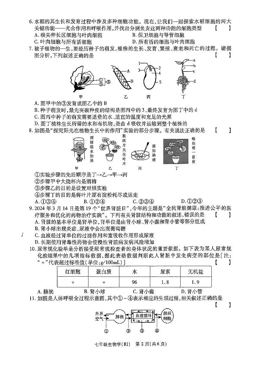 河南省濮阳市清丰县仙庄镇初级中学2024-2025学年七年级下学期6月期末 生物试题第2页