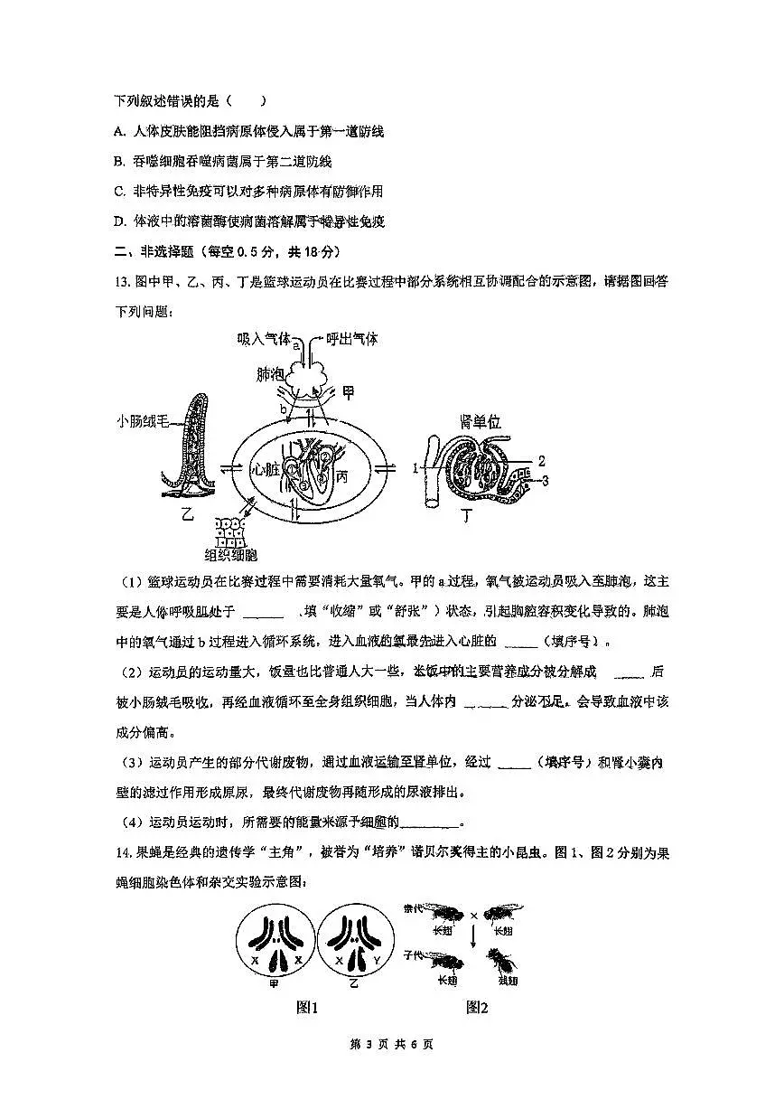 辽宁省沈阳市皇姑区第四十三中学2024-2025学年八年级下学期6月期末模拟 生物试卷第3页