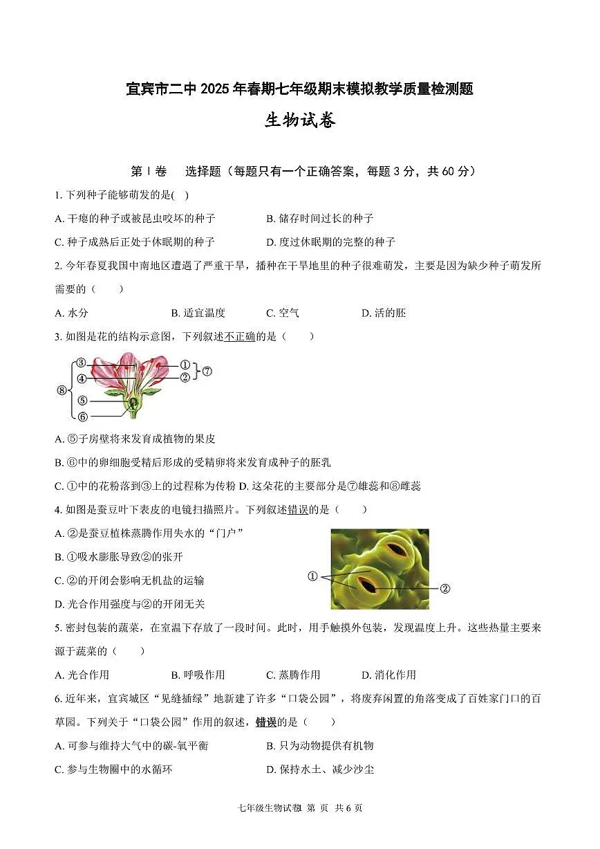 四川省宜宾市第二中学校2024-2025学年七年级下学期期末模拟考试 生物试题第1页