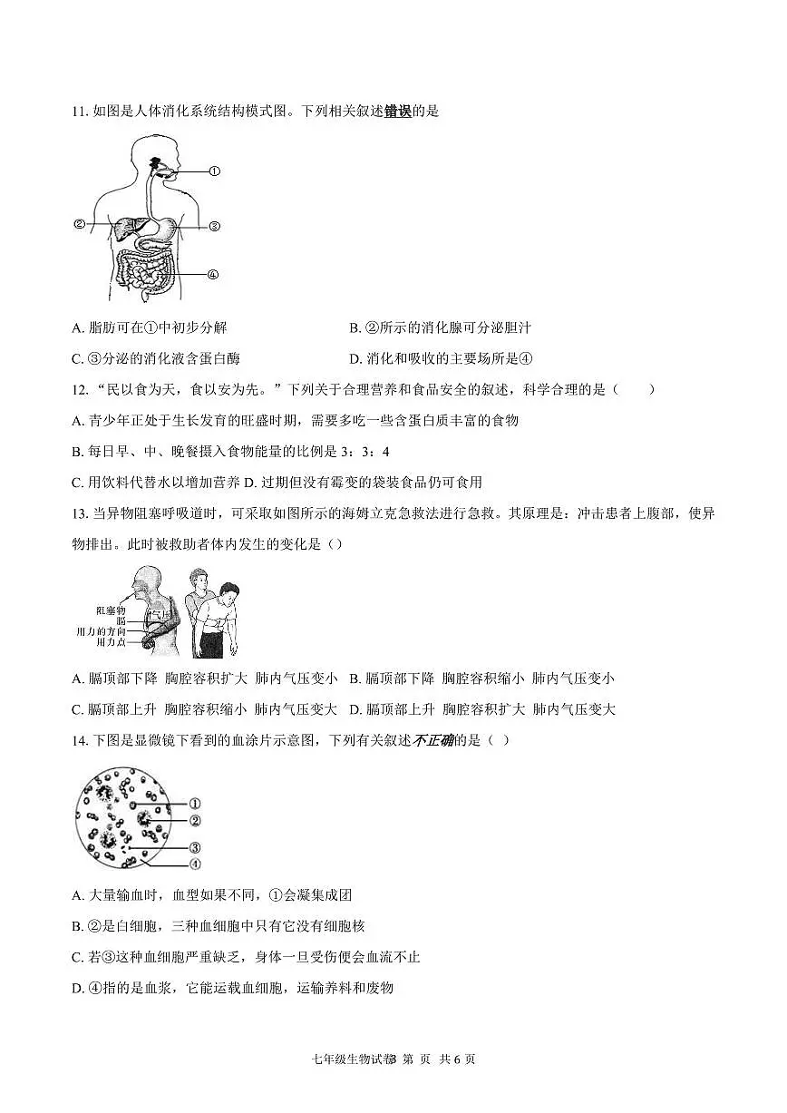 四川省宜宾市第二中学校2024-2025学年七年级下学期期末模拟考试 生物试题第3页