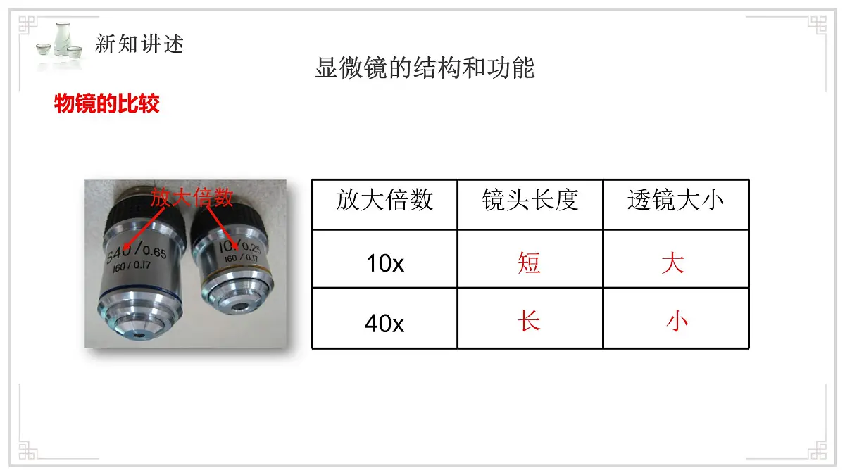 苏教版生物(2024)七年级上册 1.1.1走进生物学实验室 课件第7页