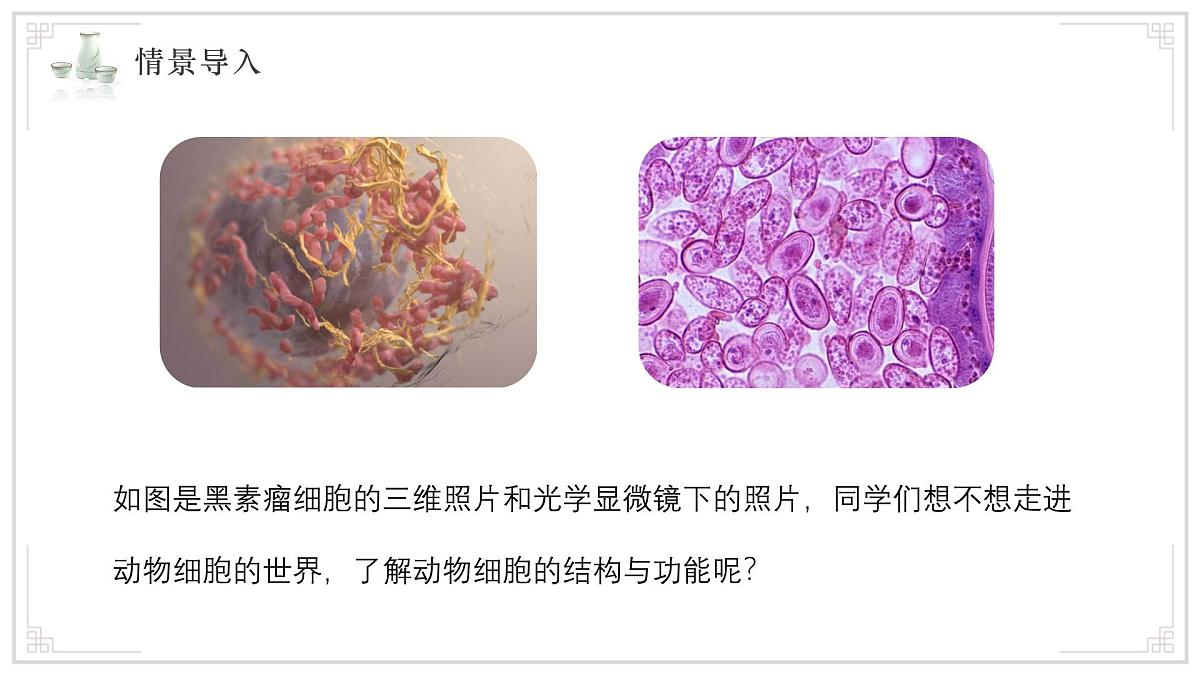 苏教版生物(2024)七年级上册 1.1.2 动物细胞的结构与功能 课件第3页