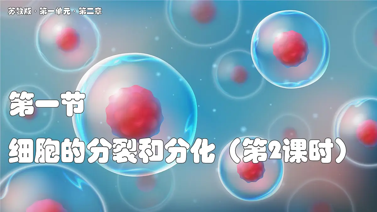 苏教版生物(2024)七年级上册 1.2.1 细胞的分裂和分化 第2课时 课件第1页