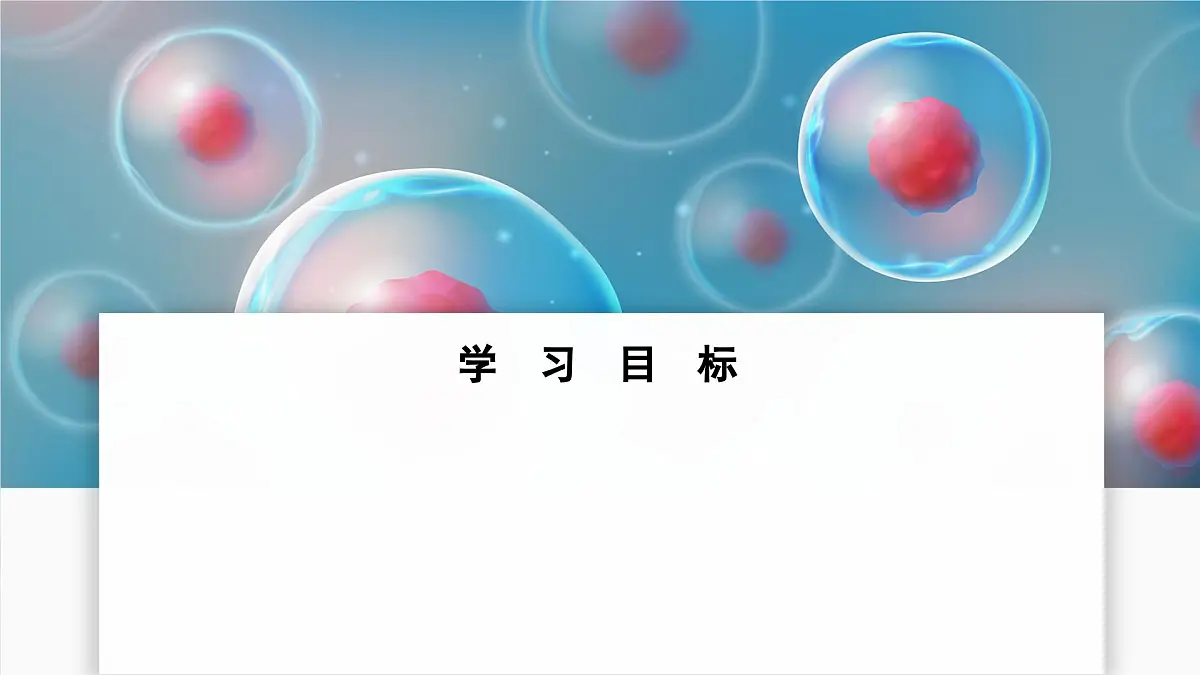 苏教版生物(2024)七年级上册 1.2.1 细胞的分裂和分化 第2课时 课件第2页