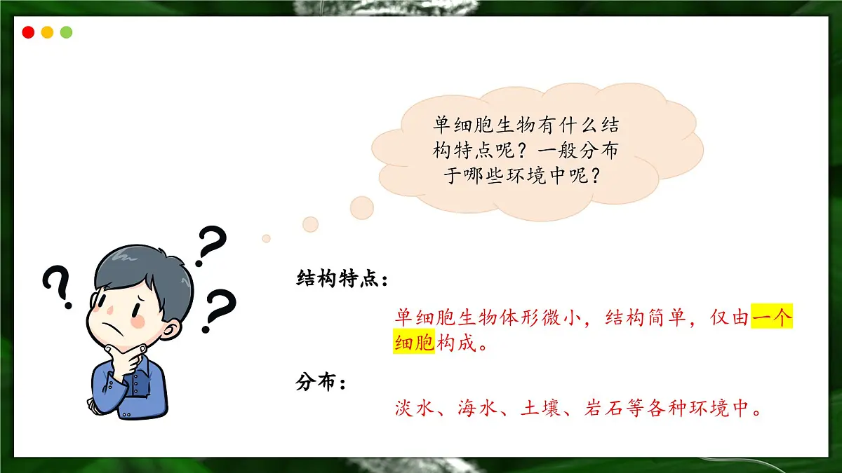 苏教版生物(2024)七年级上册 1.2.2 单细胞生物-同步课件第6页
