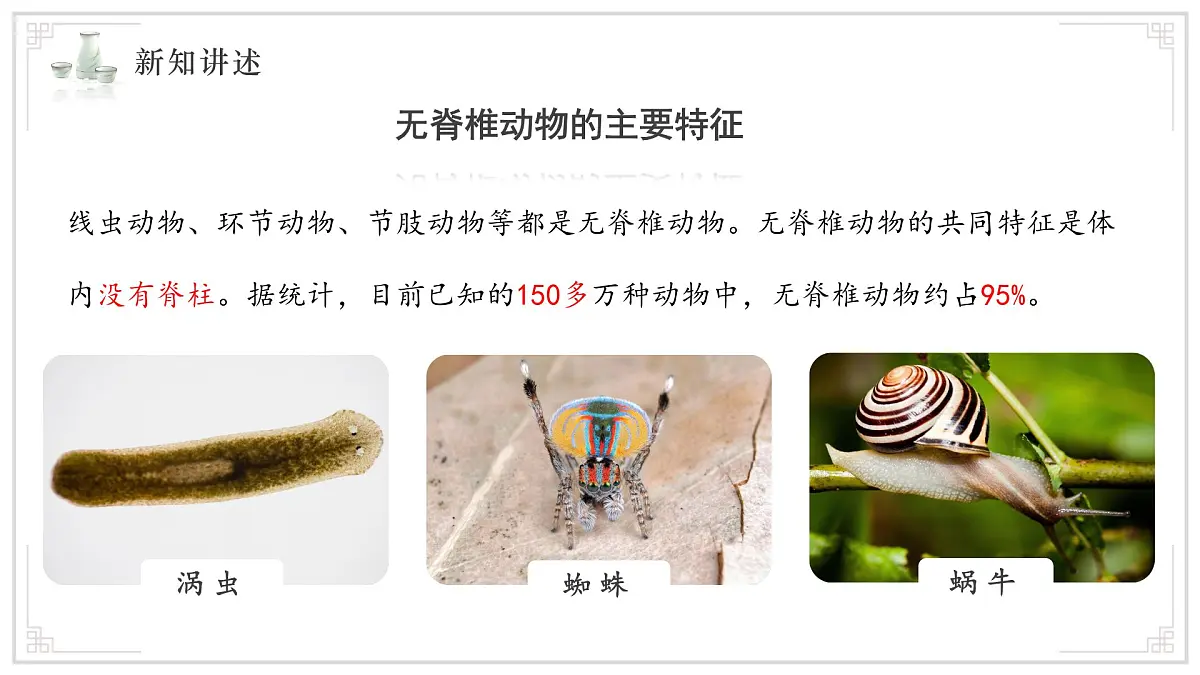 苏教版生物(2024)七年级上册 2.4.1 无脊椎动物 课件 (2)第4页